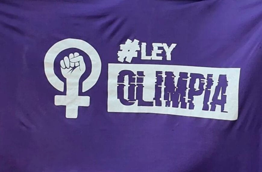 Ley Nacional 27.736 de violencia digital | Ley Olimpia | 2023
