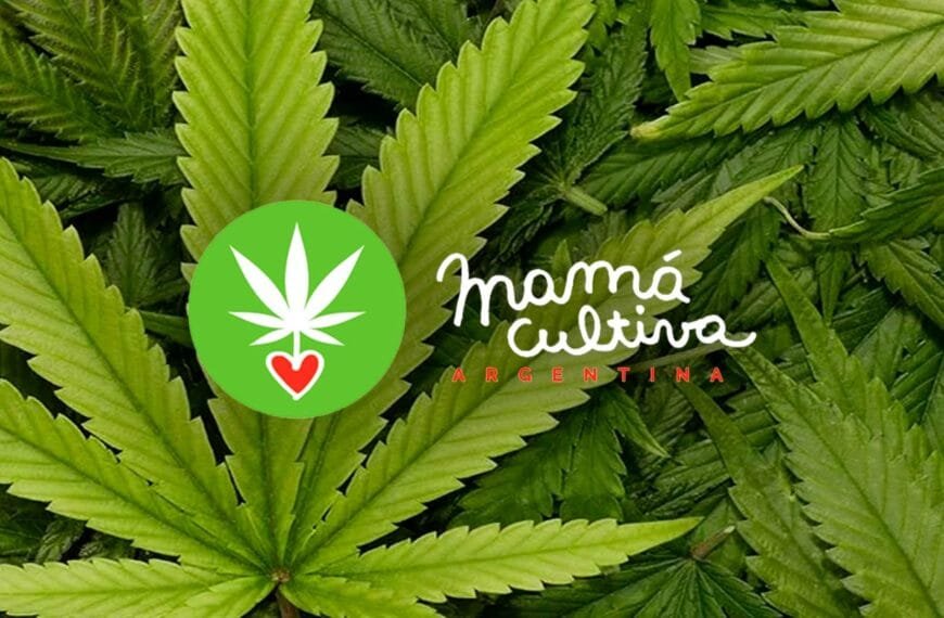 Cannabis para la salud | Mamá cultiva | Guía de acompañamiento