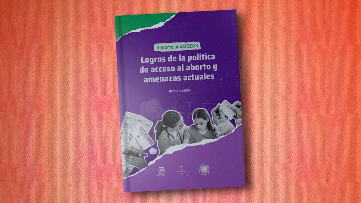 Acceso al aborto | Proyecto Mirar | Informe 2023