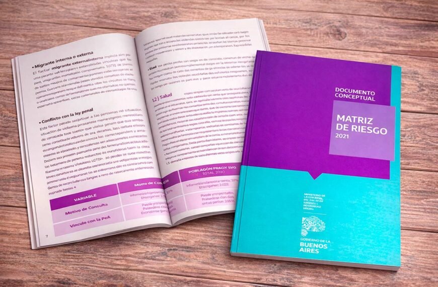 Matriz de riesgo | Ministerio de las Mujeres, Políticas de Género y Diversidad Sexual GBA | Guía conceptual